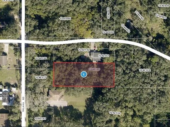 Yalaha Rd #12, Yalaha, FL 34797