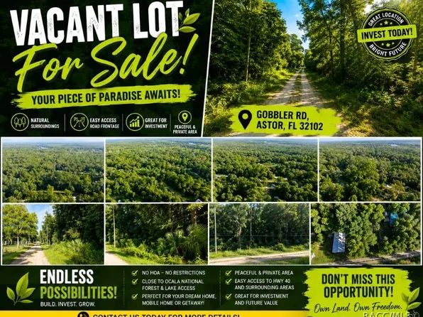 0 Gobbler Rd, Astor, FL 32102