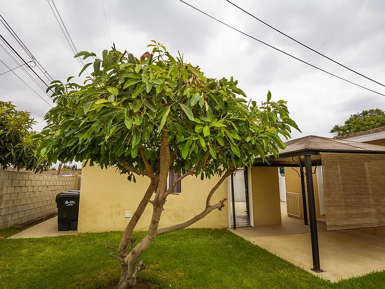 11433 Littchen St — Photo 30