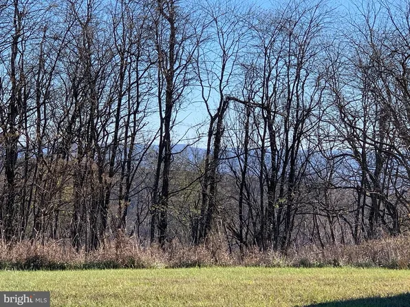 Piney Mountain Rd, Romney, WV 26757