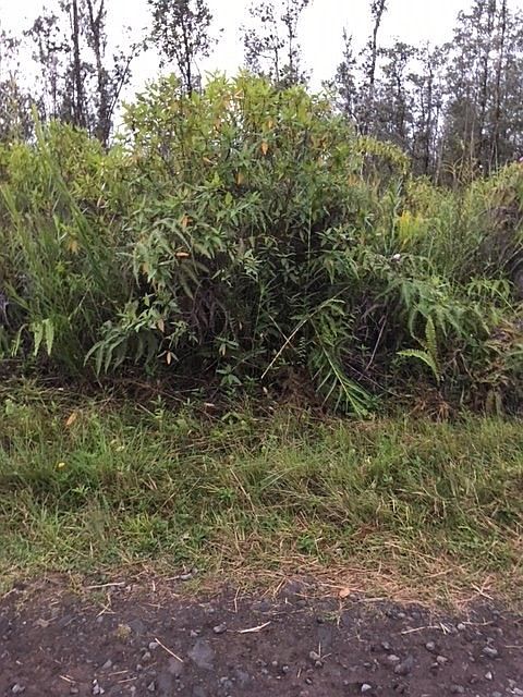 2nd image of 40th Ave Lot 77