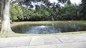 Nearby Pond