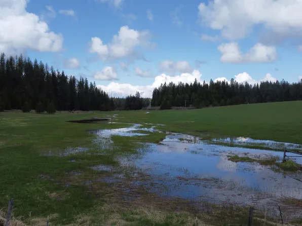 Rudo Rd, Orofino, ID 83544