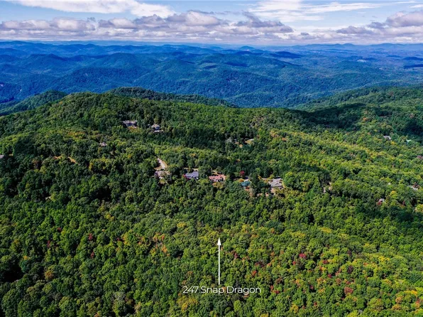 247 Snap Dragon Way, Landrum, SC 29356