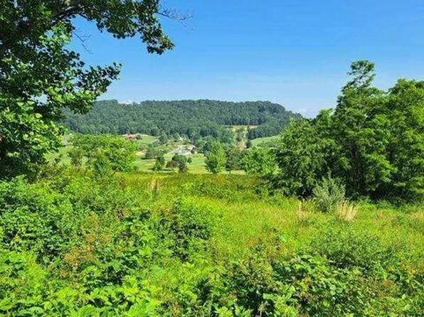 Fairway View Dr, Peterstown, WV 24963