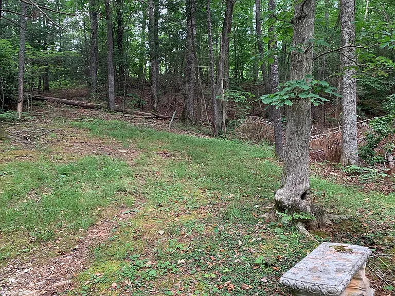 Cox Crossing Dr — Photo 3