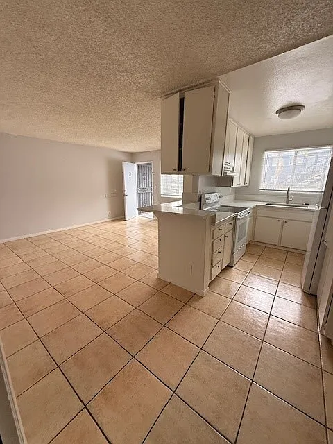 1 bed, 550 sqft, $1,725 — Photo 3