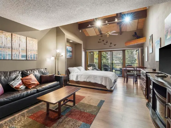 961 N Tamarron Drive #555, Durango, CO 81301