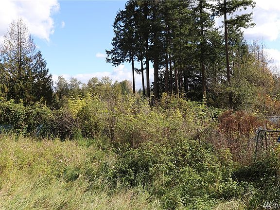 3rd image of 31110 Mountain Hwy E