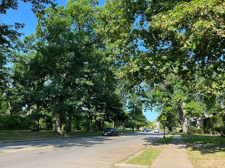 Amherst Woods Apartments — Photo 19
