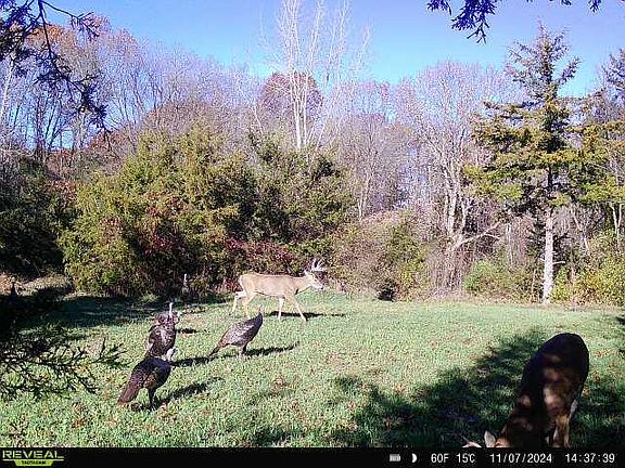 5th image of 5100 Long Lake Rd