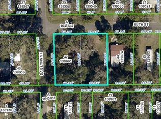 9170 Dan Lynn St, Brooksville, FL 34601