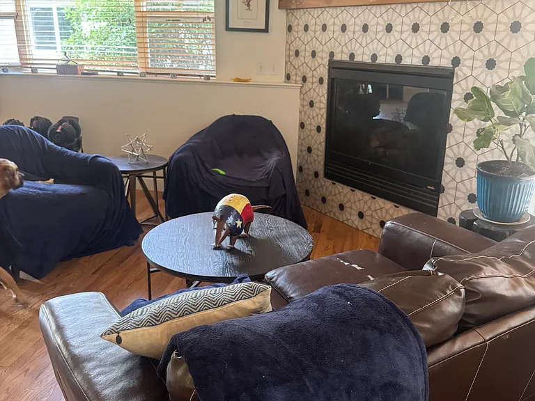 420 Jenkins Ranch Rd — Photo 6