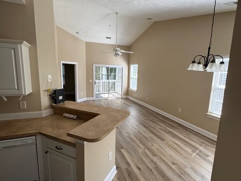 Kitchen to living room