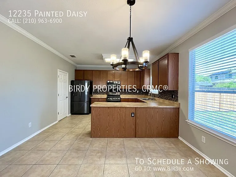 12235 Painted Daisy — Photo 16