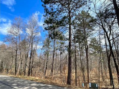 Wooddale Rd, Nisswa, MN, 56468