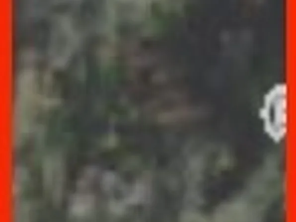 10556 W Oliver St, Homosassa, FL 34448