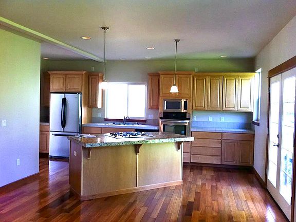 Big chef's kitchen with island, separate pantry.