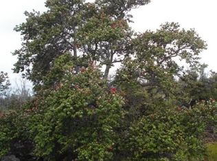 Reef Circle Makai LOT 15, Captain Cook, HI 96704