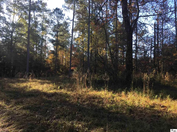 0 Highway 552, Downsville, LA 71234