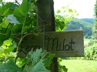 351 Elderberry Dr, Todd, NC 28684