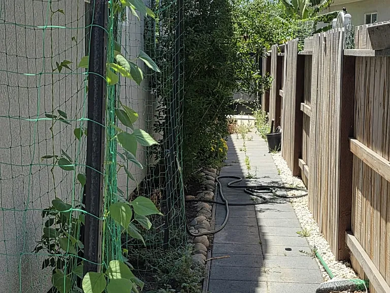 285 Manhattan St — Photo 38