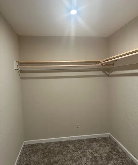 224 Brittain Ln — Photo 20