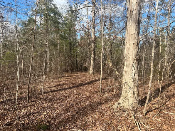 265 Lost Pond Lane, Appling, GA
