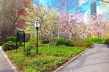 Rented by Steven Corcoran Real Estate