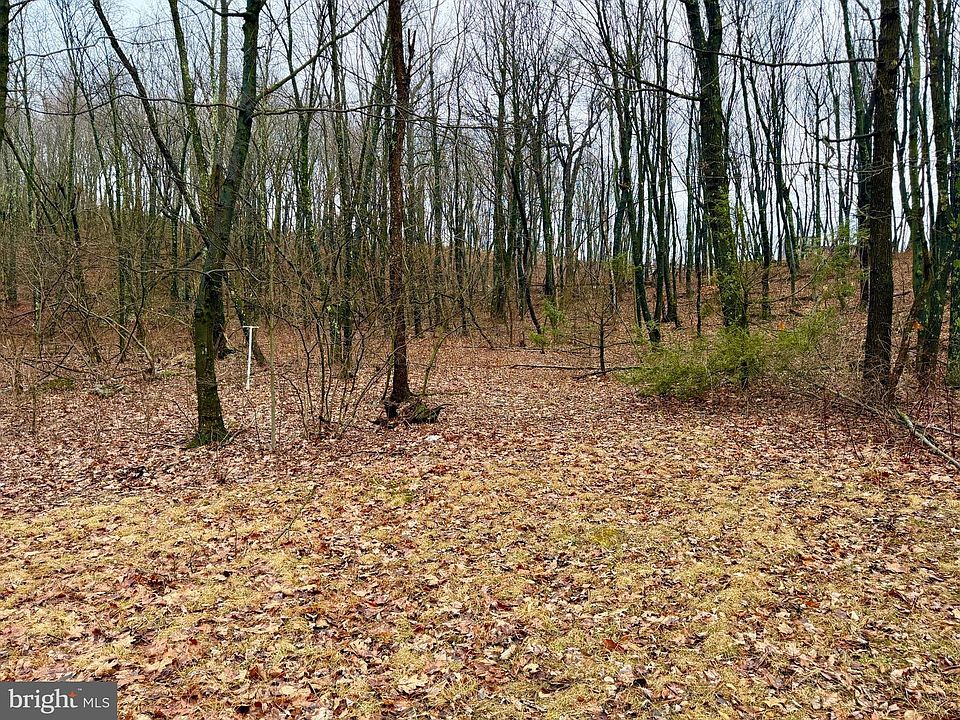 10th image of this home