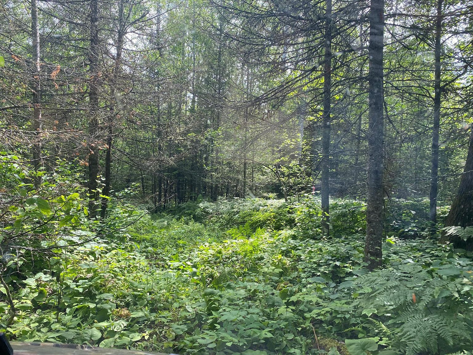 Arnold Rd, Duluth, MN 55803 Zillow