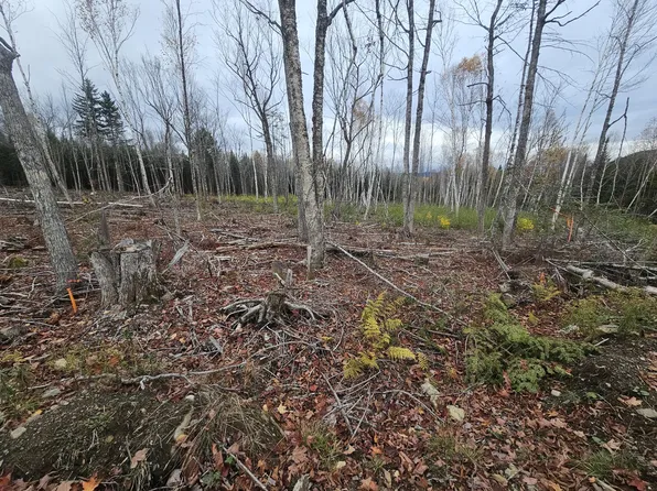 117 & 3-54 Big Snow (M12L117 M16L3-54) Way, Rangeley, ME 04970
