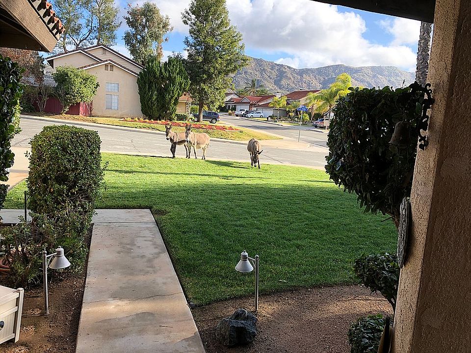 2nd image of 24197 Shady Ridge Cir