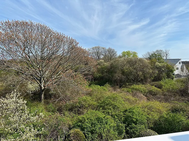 104 Monroe Dr — Photo 15