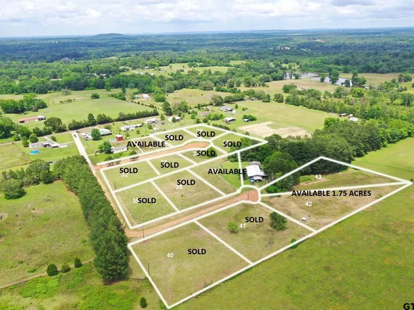 42-43 Larch Cir, Big Sandy, TX 75755