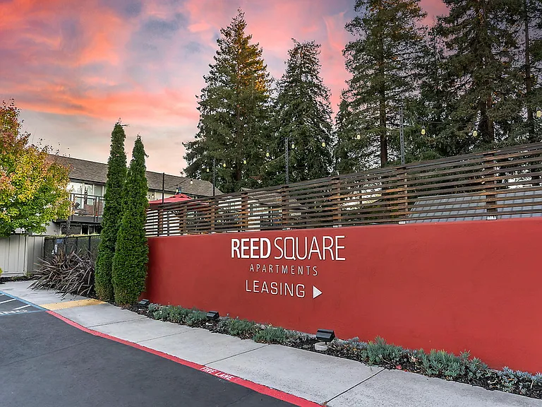 Reed Square — Photo 26