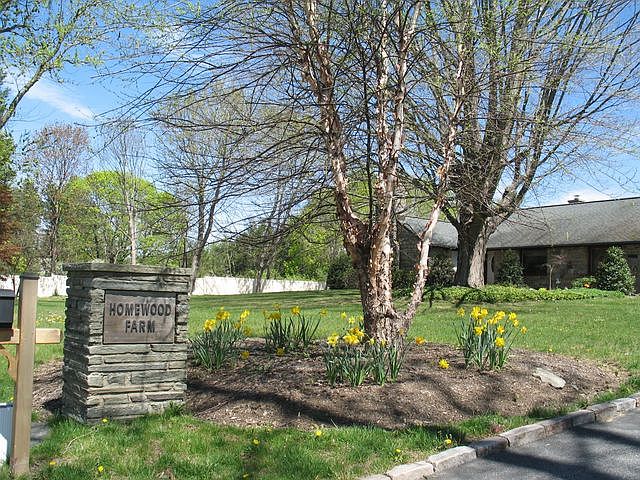 1st image of 100 Palmer Ln
