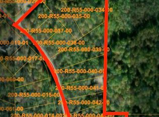 9767 Grandview Dr, Wolverine, MI 49799