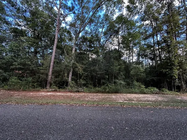 0 Darby Ln, Carriere, MS 39426