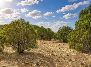 15 County Road 3180, Vernon, AZ 85940