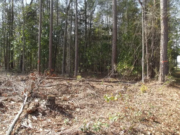 Old Screven Rd, Jesup, GA 31545