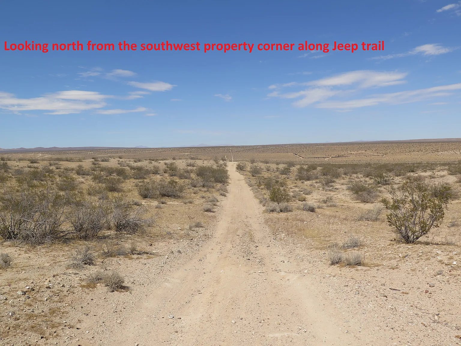 Buckthorne Canyon Rd photo 1