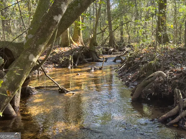 928 Country Trl, Box Springs, GA 31801