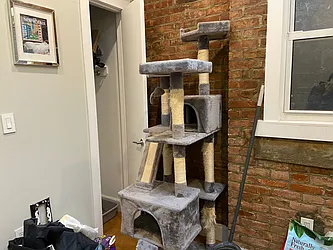 Rented by Mishkan Group