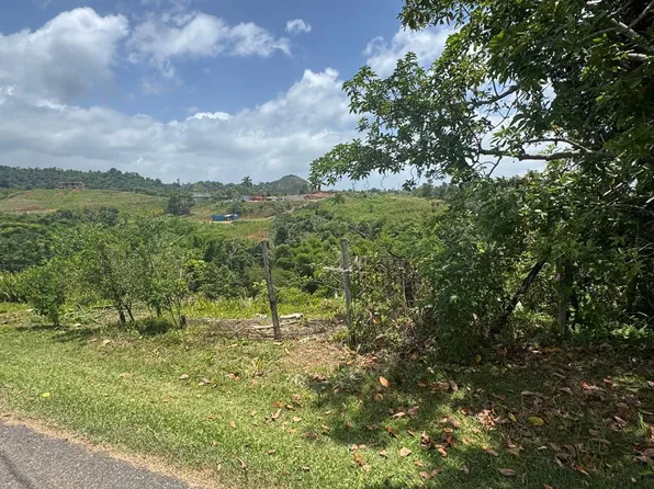 Kmhm 4.6 Carr 420 Bo Plata, Moca, PR 00676