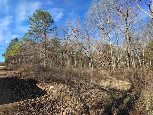 49 Meadow Brook Ln, Sidney, AR 72577