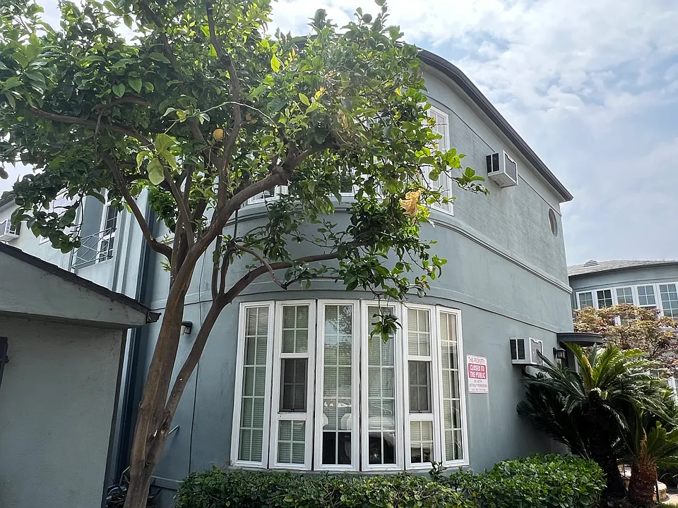 Front of building with lemon tree.