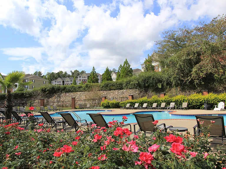 Pool and Flowers