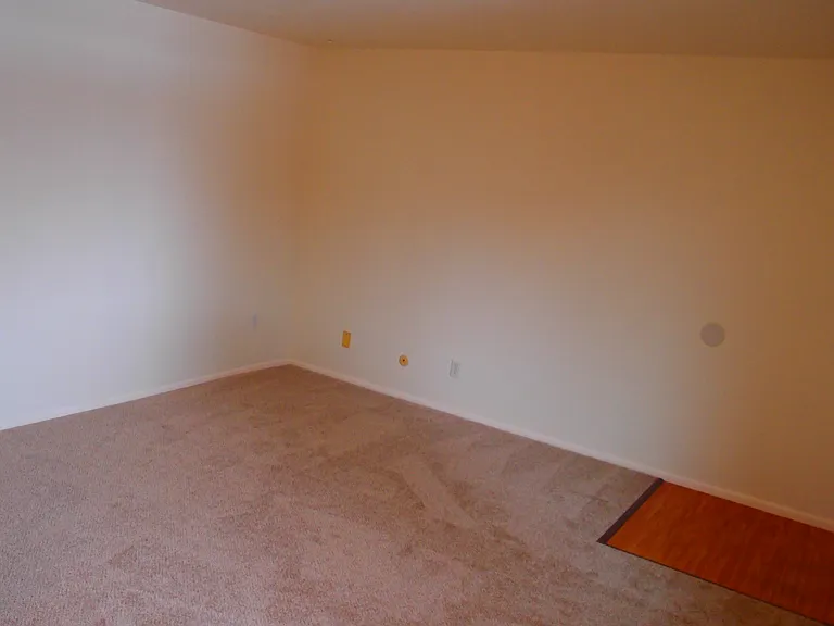 2437 Spruce street — Photo 24