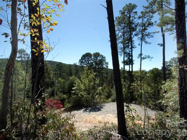 25 Round Mountain Rd, Brevard, NC 28712